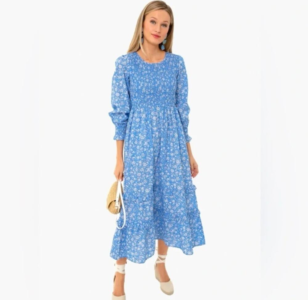 Pink City Prints Tuckernuck Blue Smocked Tiered Long Sleeve Dress Size XS